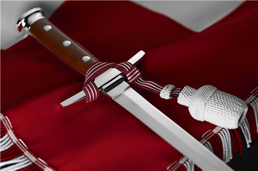 Beförderungen im Offizierskorps per März und April 2021