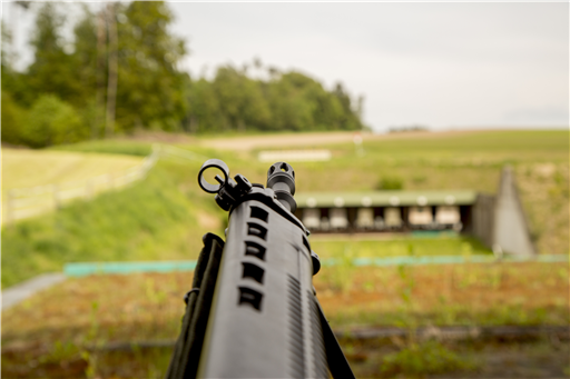 Positionspapier SOG zur EU-Waffenrichtlinie